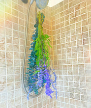 Load image into Gallery viewer, (Low Maintenance) Eucalyptus Soft Leaf Shower Bundle