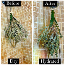 Load image into Gallery viewer, (High Maintenance) Eucalyptus Shower Bundle