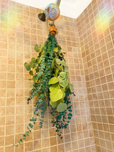 Load image into Gallery viewer, Waterfall Eucalyptus Shower Bundle (Large)