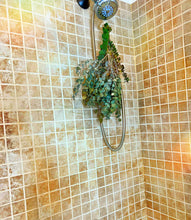 Load image into Gallery viewer, (High Maintenance) Eucalyptus Shower Bundle