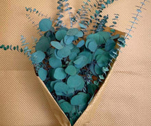 Load image into Gallery viewer, (Low Maintenance) Silver Dollar & Baby Eucalyptus Bundle