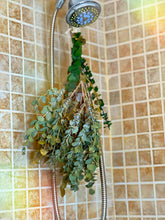 Load image into Gallery viewer, (High Maintenance) Eucalyptus Shower Bundle
